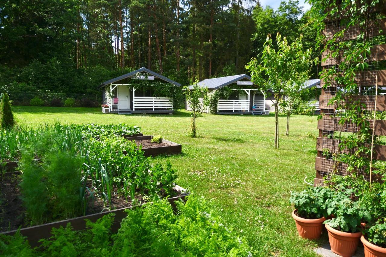 Przylesie21 Villa Устка Екстериор снимка