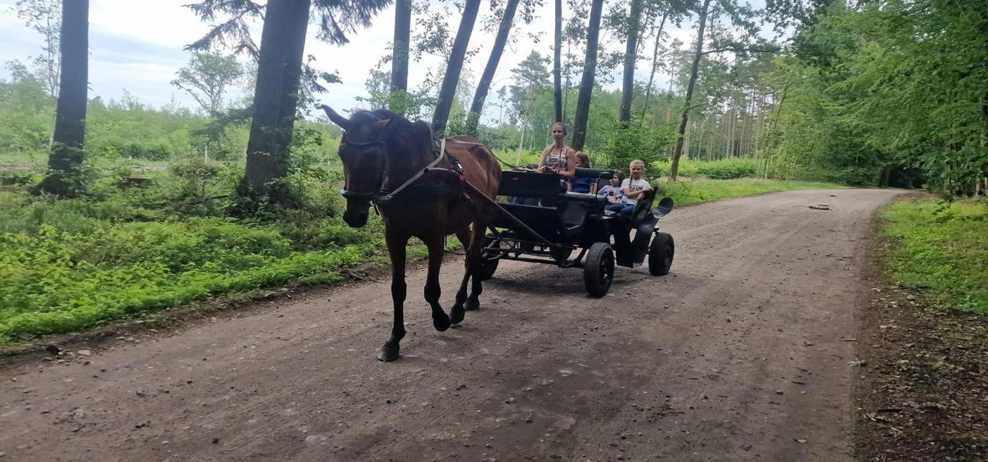 Przylesie21 Villa Устка Екстериор снимка